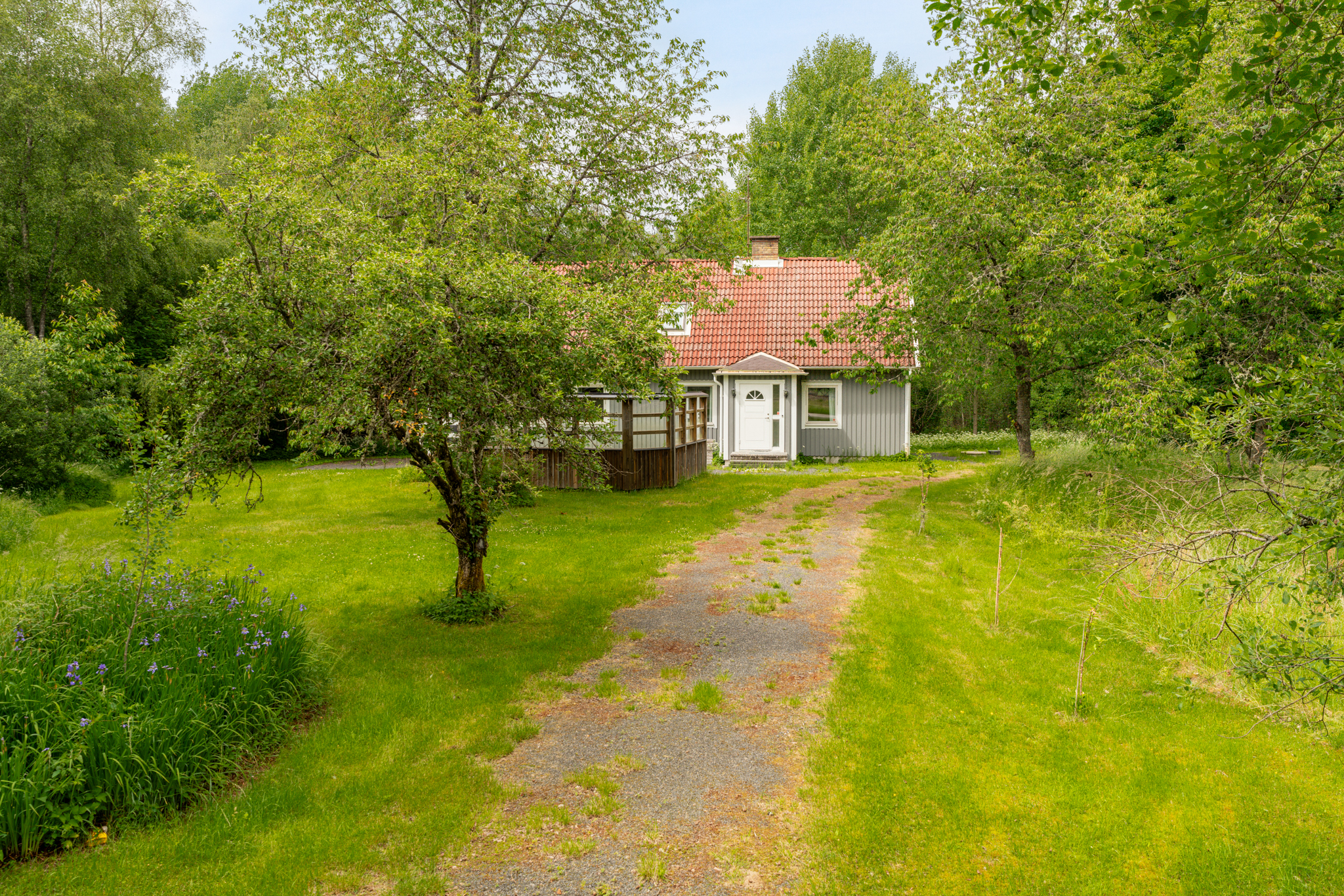 HördaKronolund1,Eneryda-10062024-004