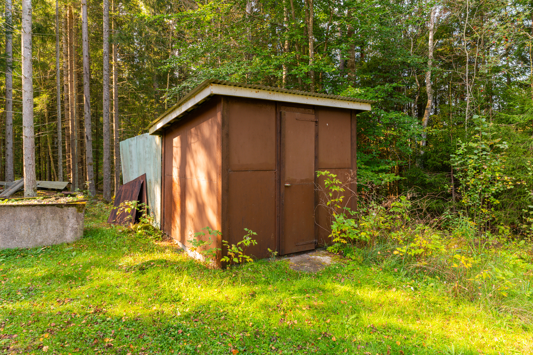 Allamåla2610,Älmhult-23092024-025 24