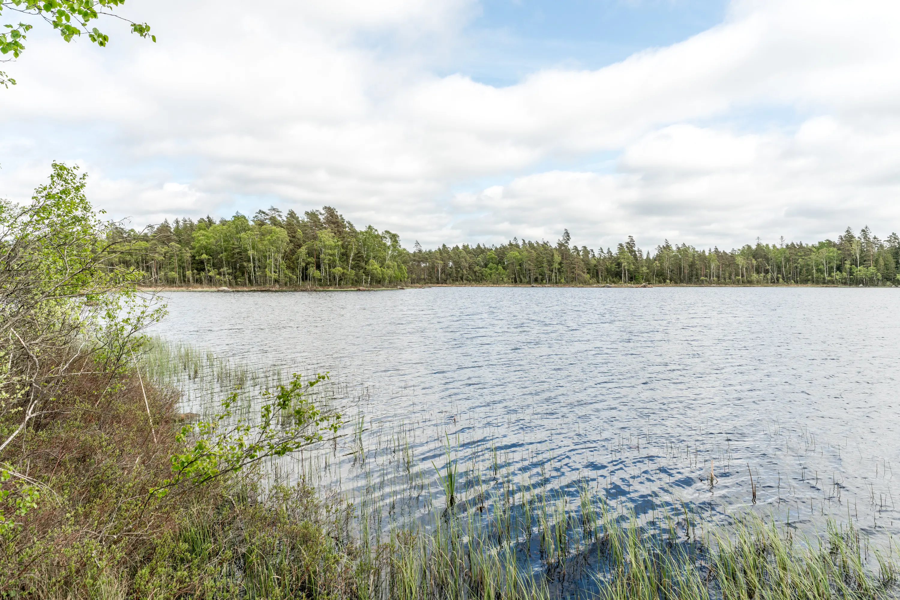 Hjortseryd3,Lidhult-22052026-12.jpg 21