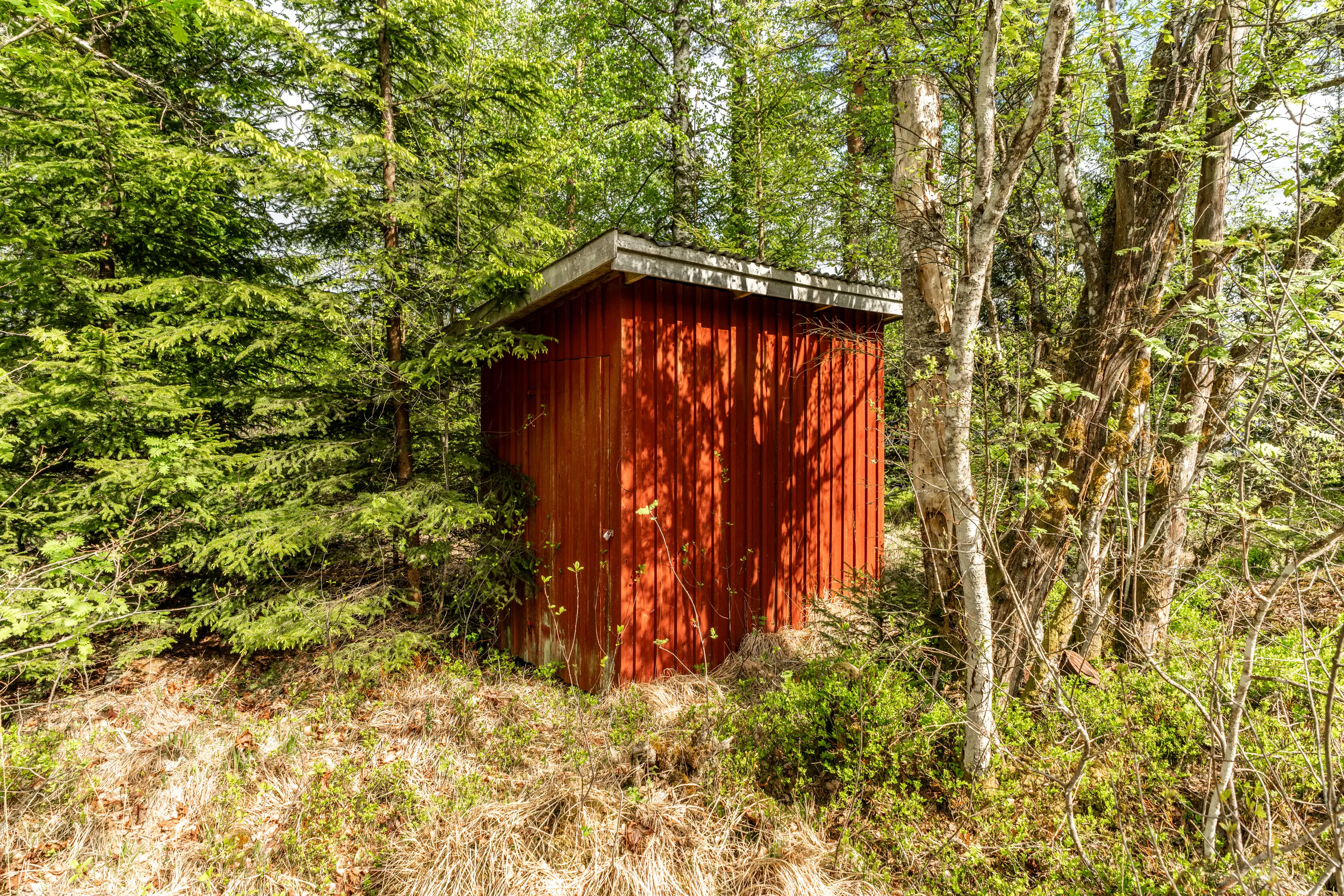 Hjortseryd3,Lidhult-22052026-14.jpg 16