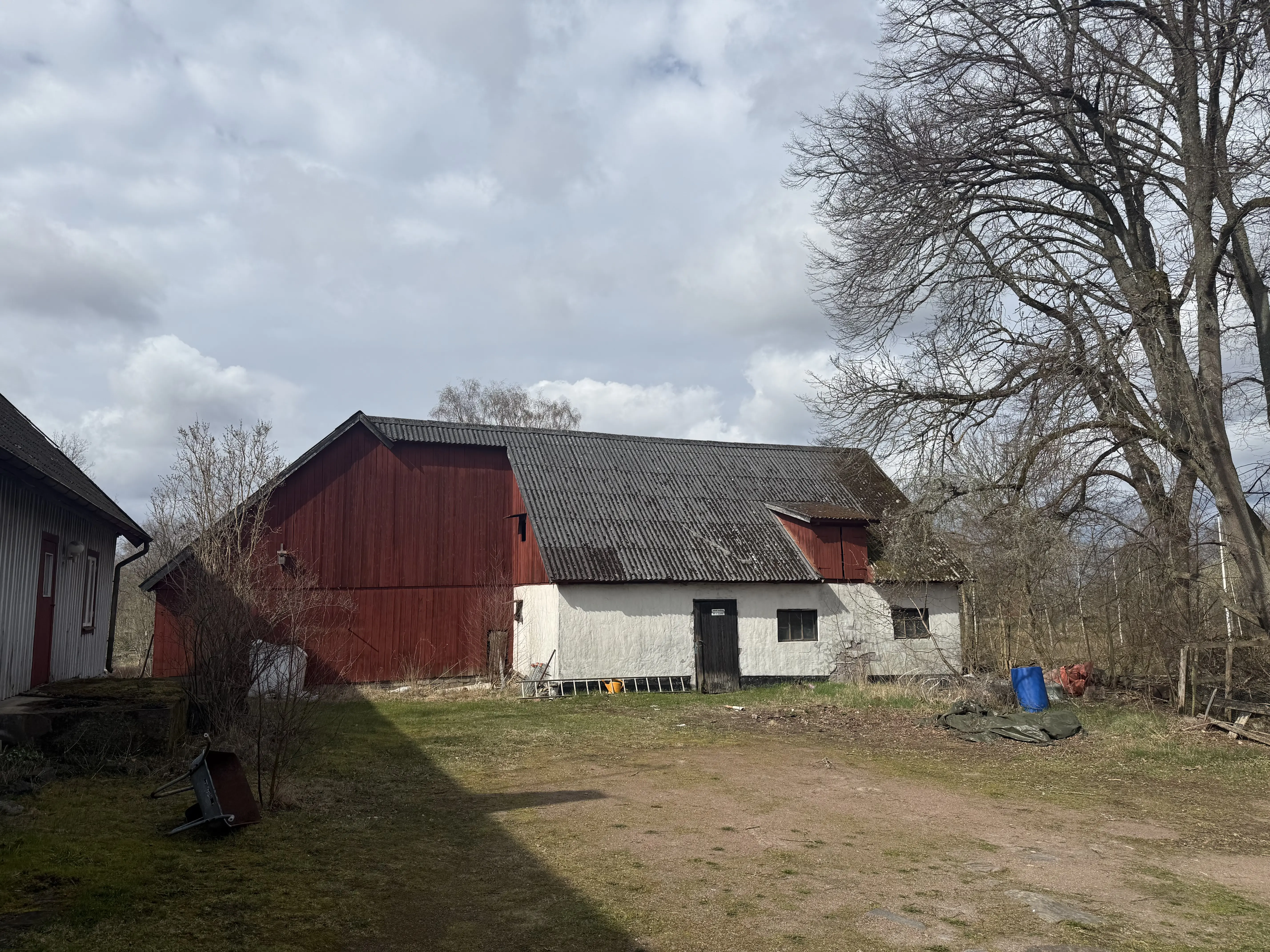 IMG_2326.jpeg 31