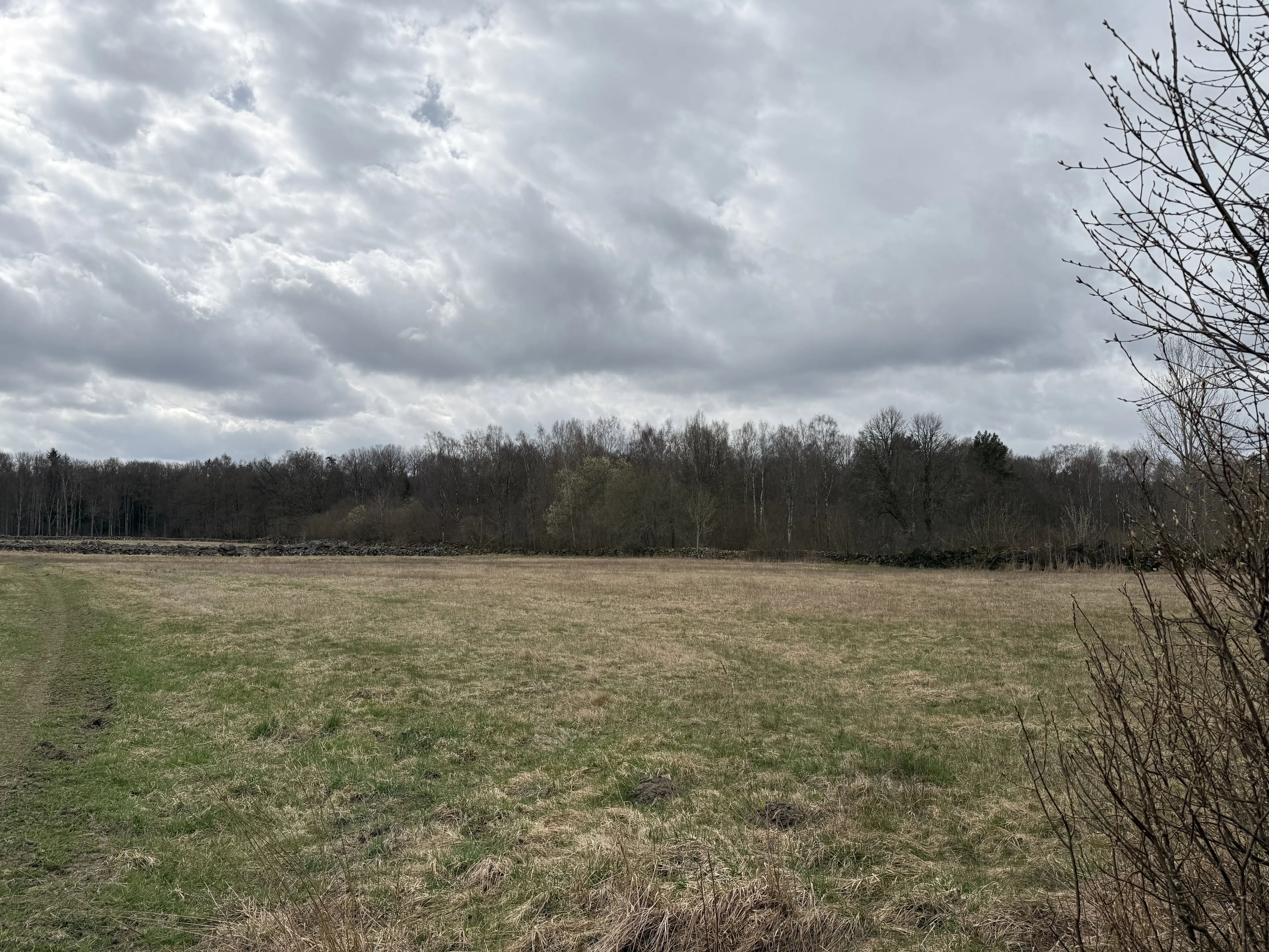 IMG_2390.jpeg 35
