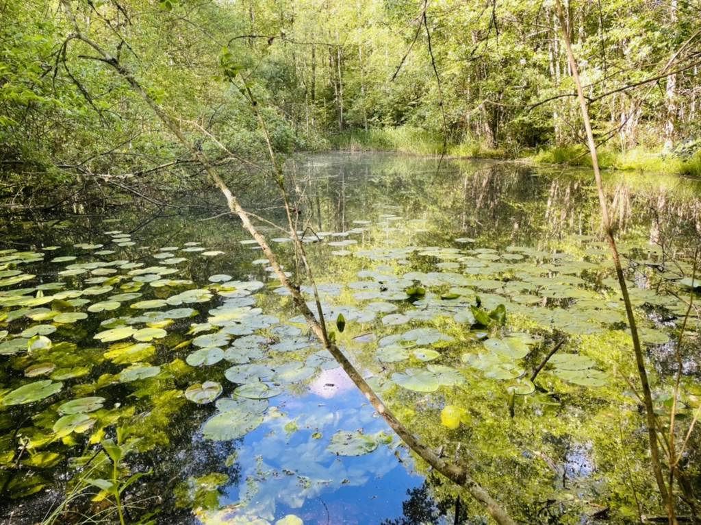 Lågupplöst(1) 2