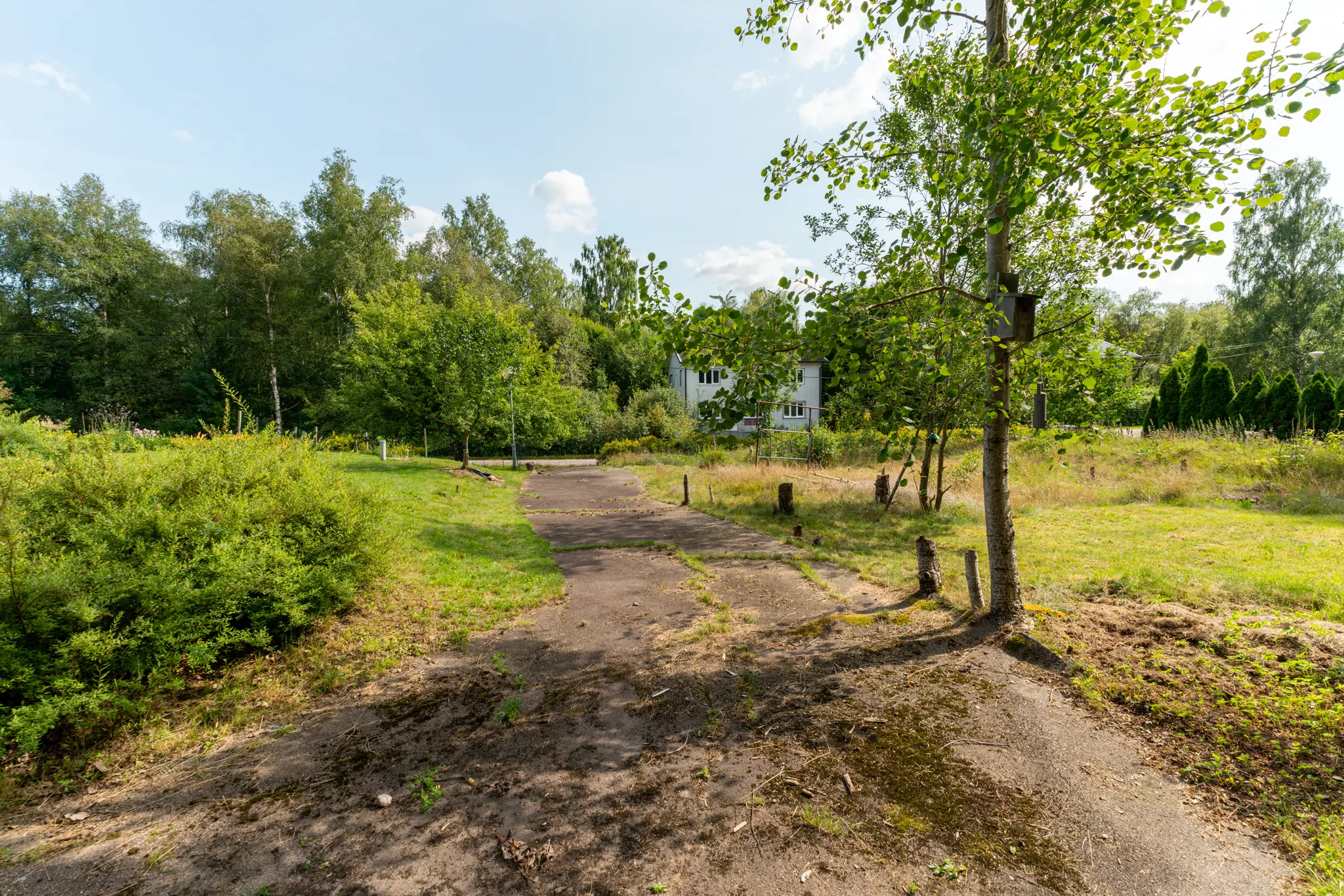 VivljungaVänneleden1,Strömsnäsbruk-01082024-008 41