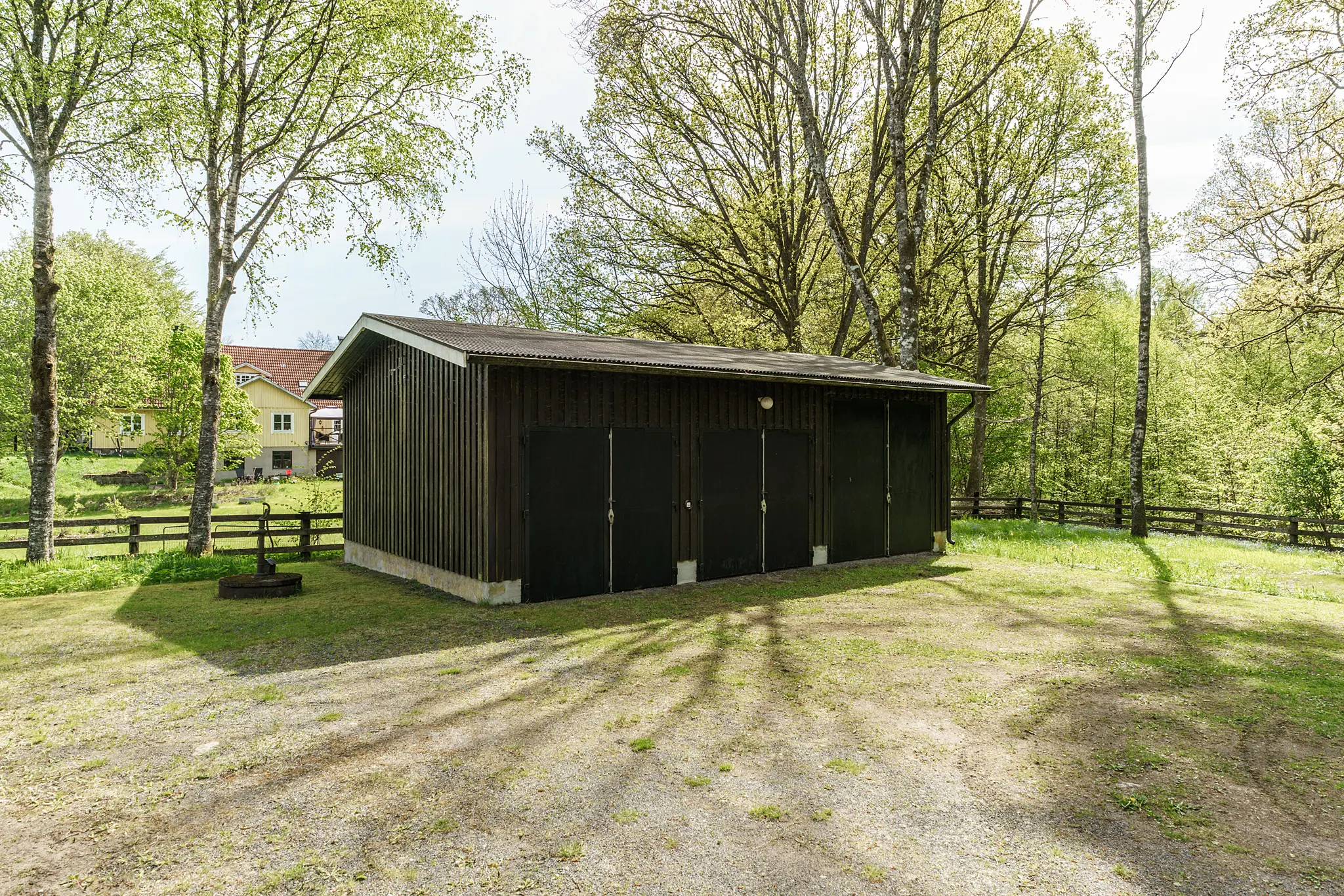 Mejarp4062,Vittsjö-13052025-006 5