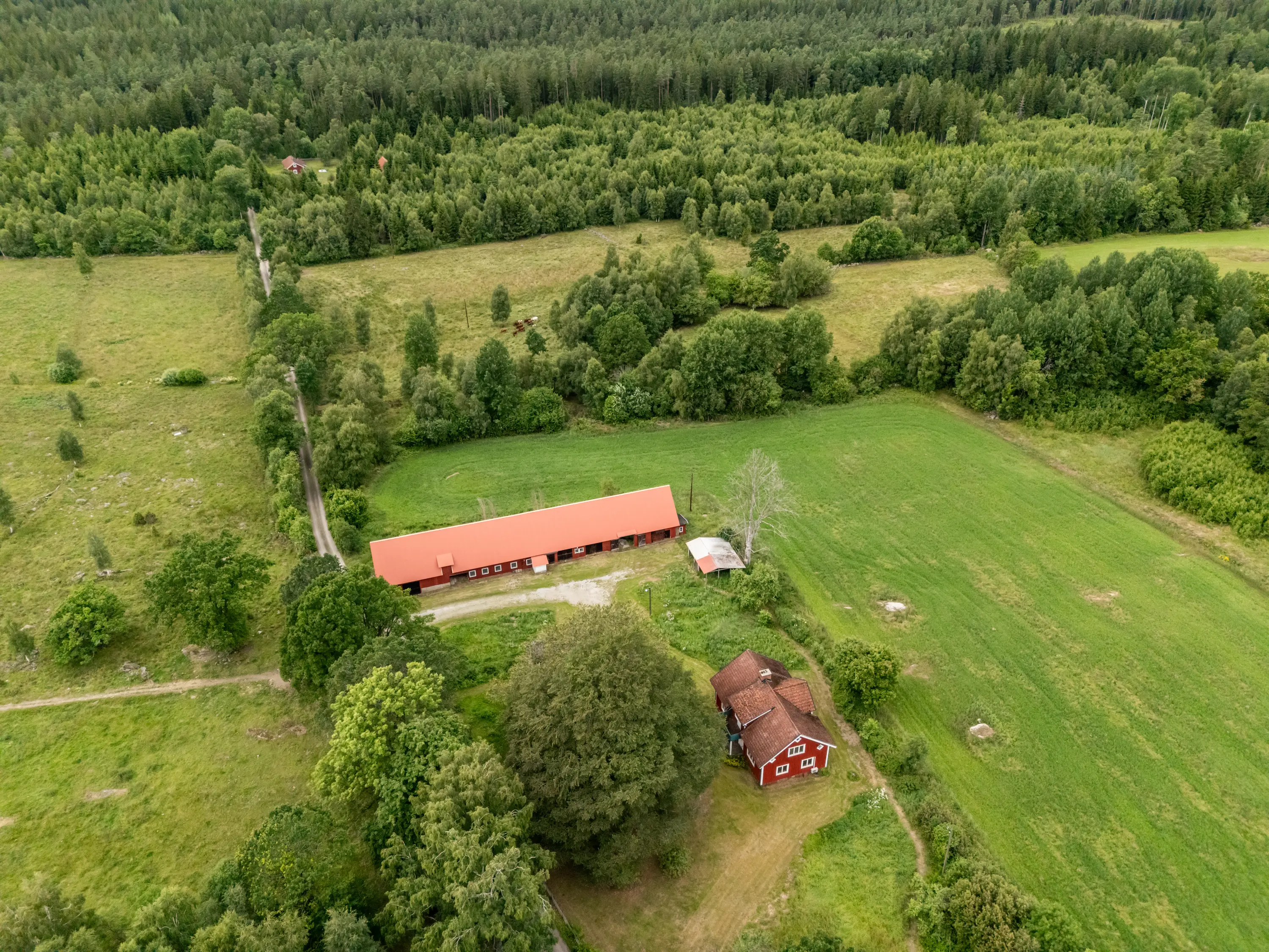 Lönshult1,Vislanda-Drönare-10072026-1.jpg 25