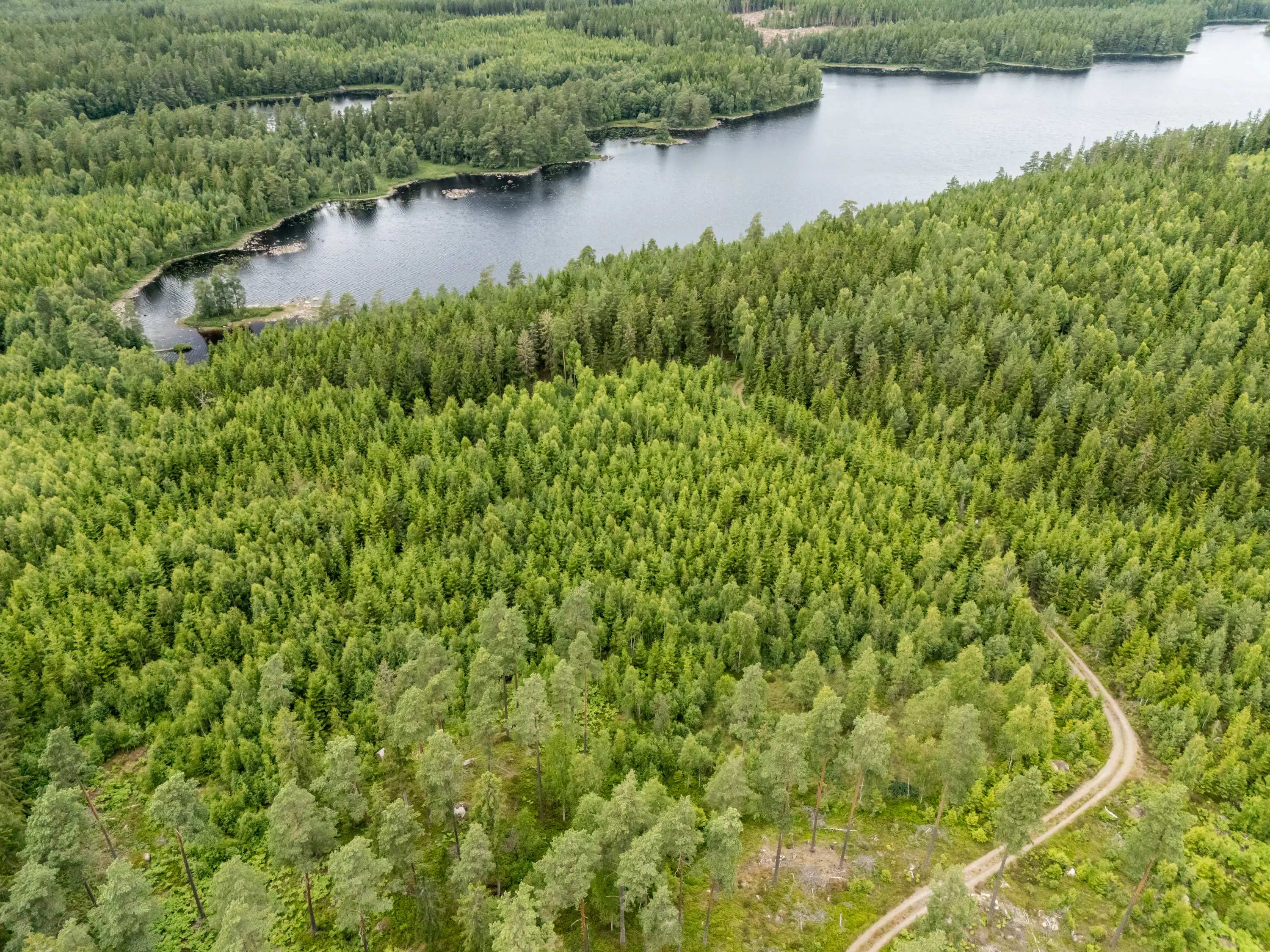 Lönshult1,Vislanda-Drönare-10072026-3.jpg 42
