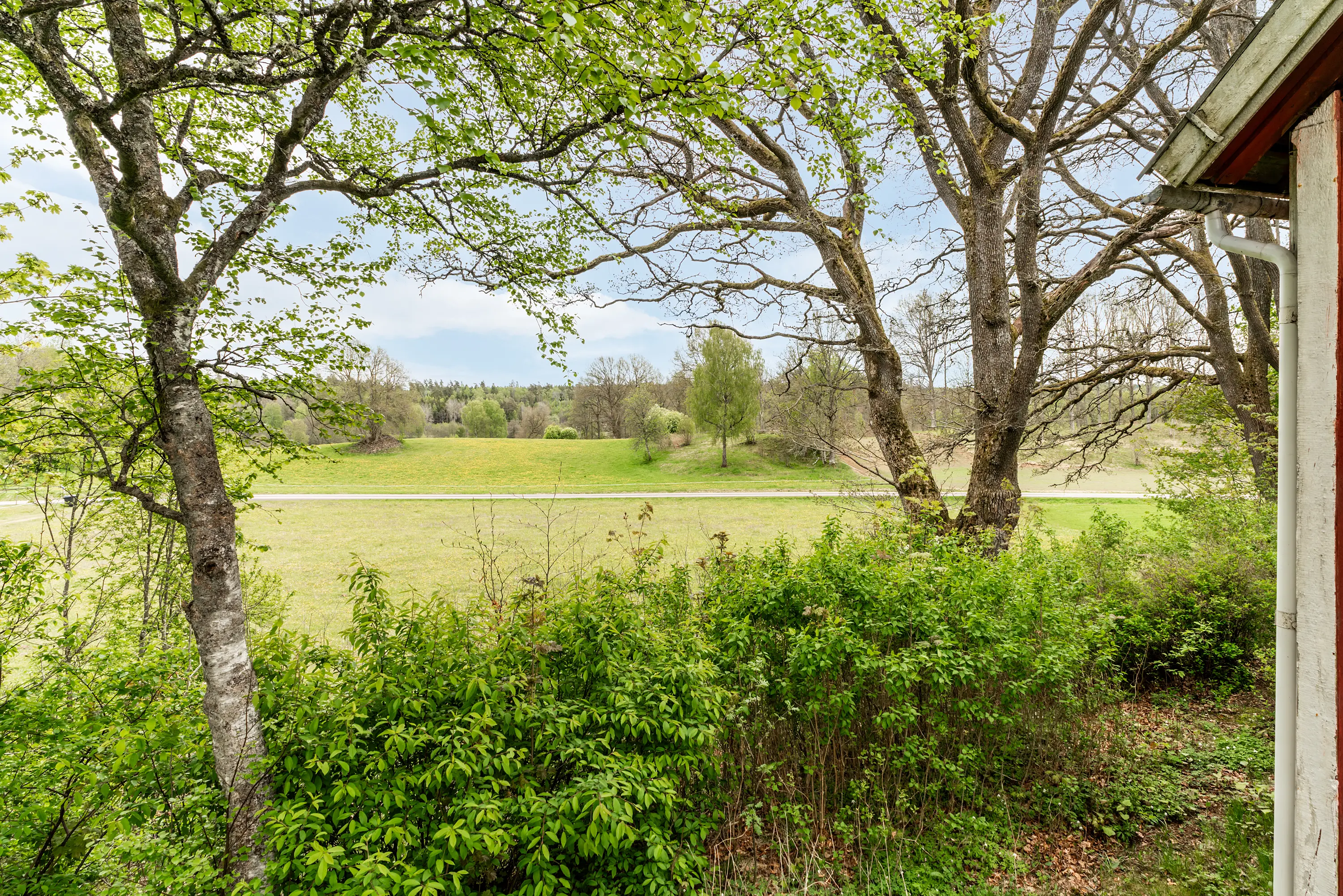 Gräsholma1517,Markaryd-19052026-005.jpg 3