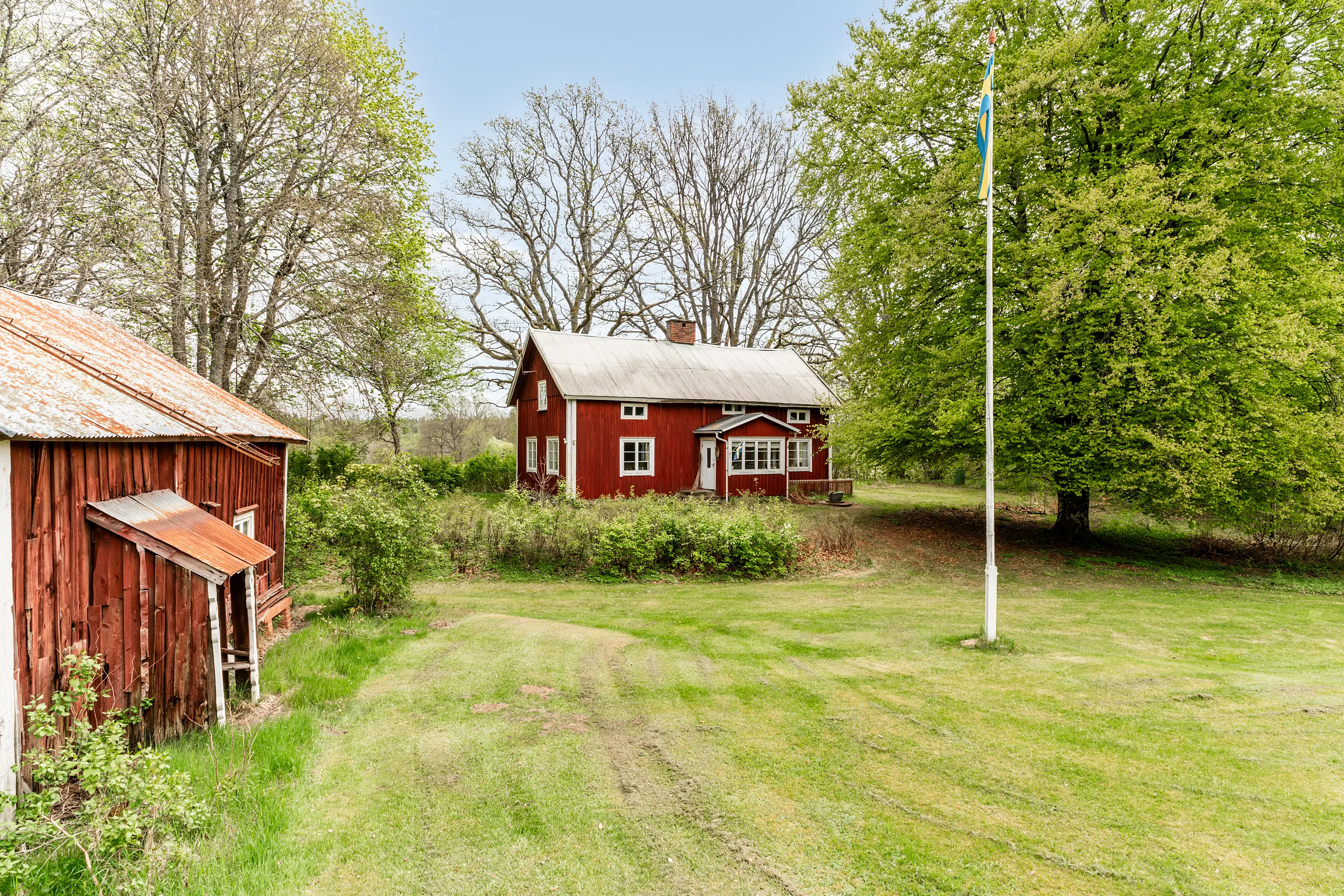 Gräsholma1517,Markaryd-19052026-001.jpg
