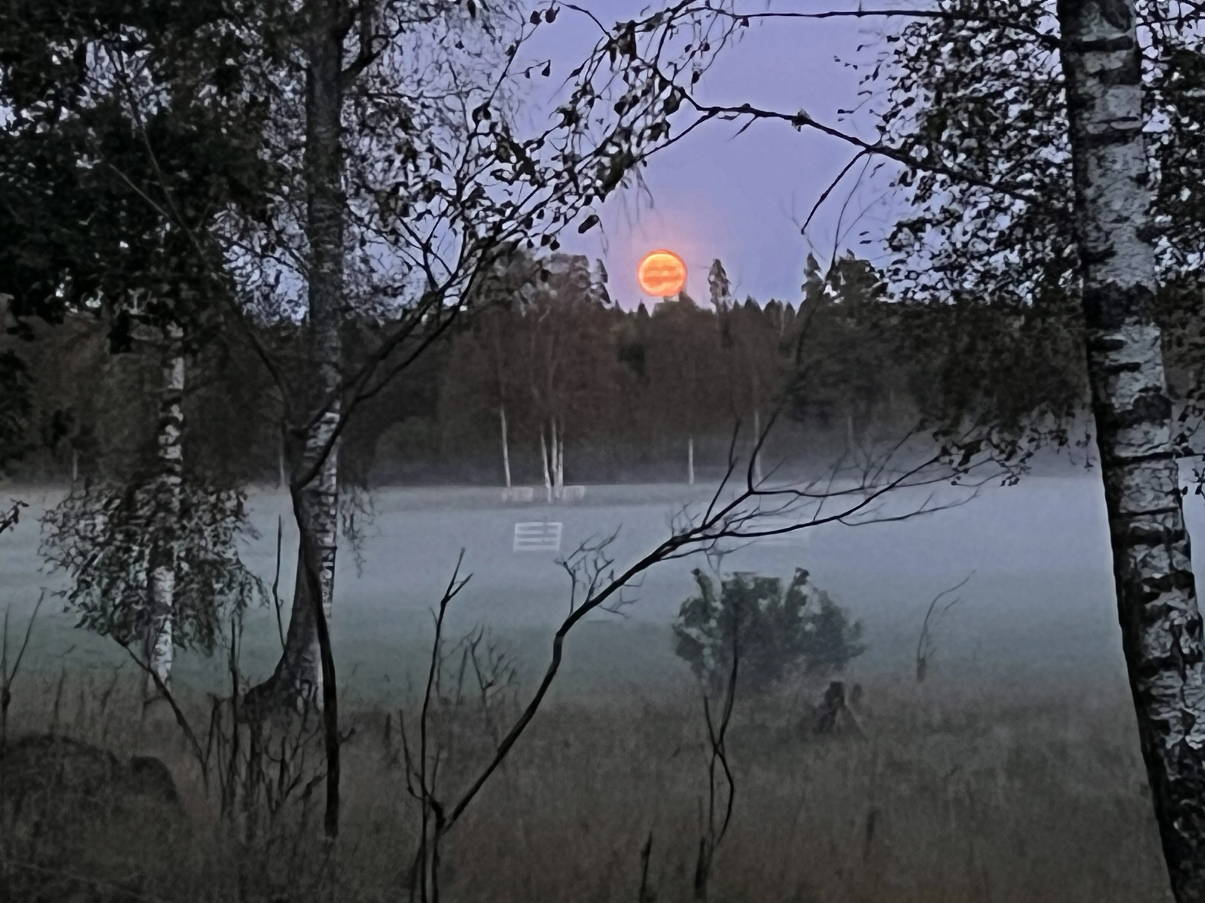 IMG_9150.jpeg 52