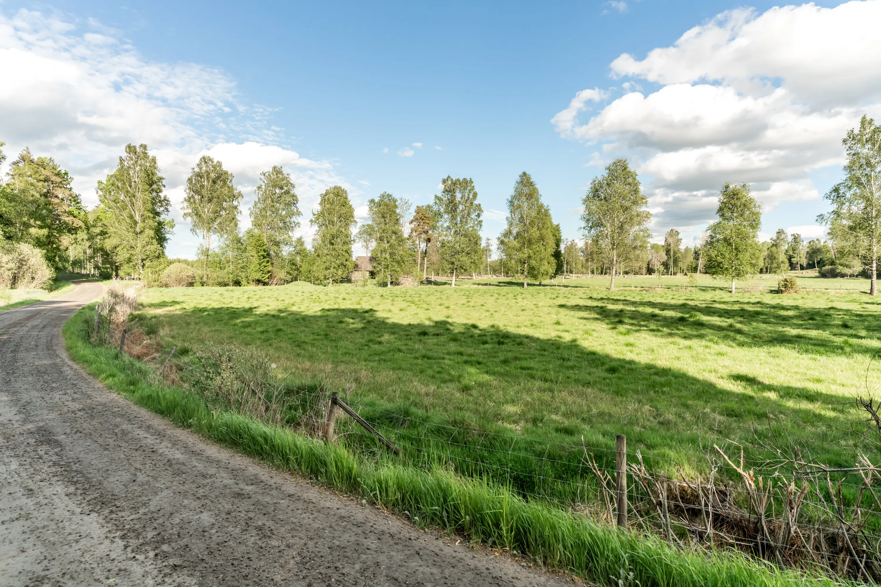 ÄlmtåsaNorregård3,Agunnaryd-26052026-36.jpg 8