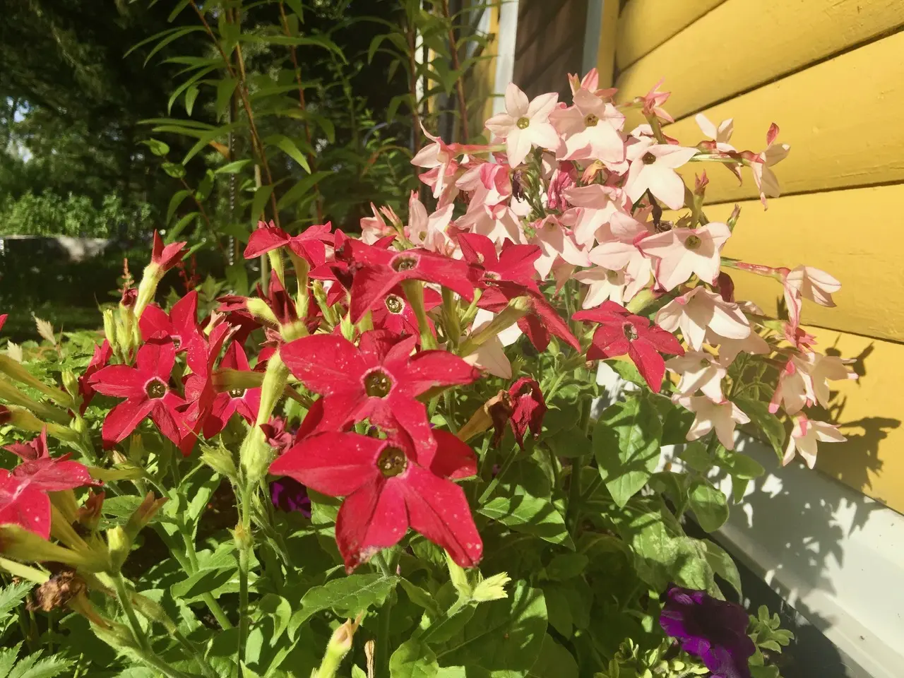 IMG_6255.jpeg 23