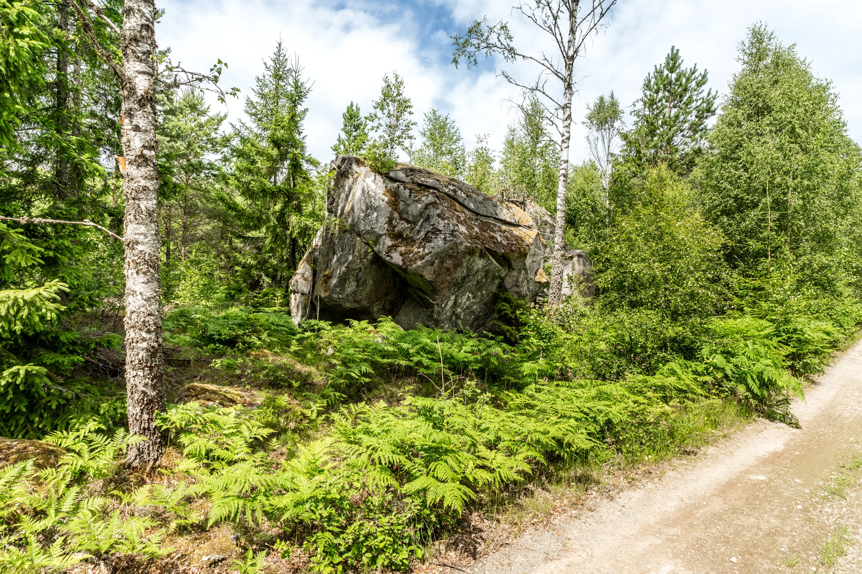 Hynnenäs2,Lönashult-10072026-28.jpg 28