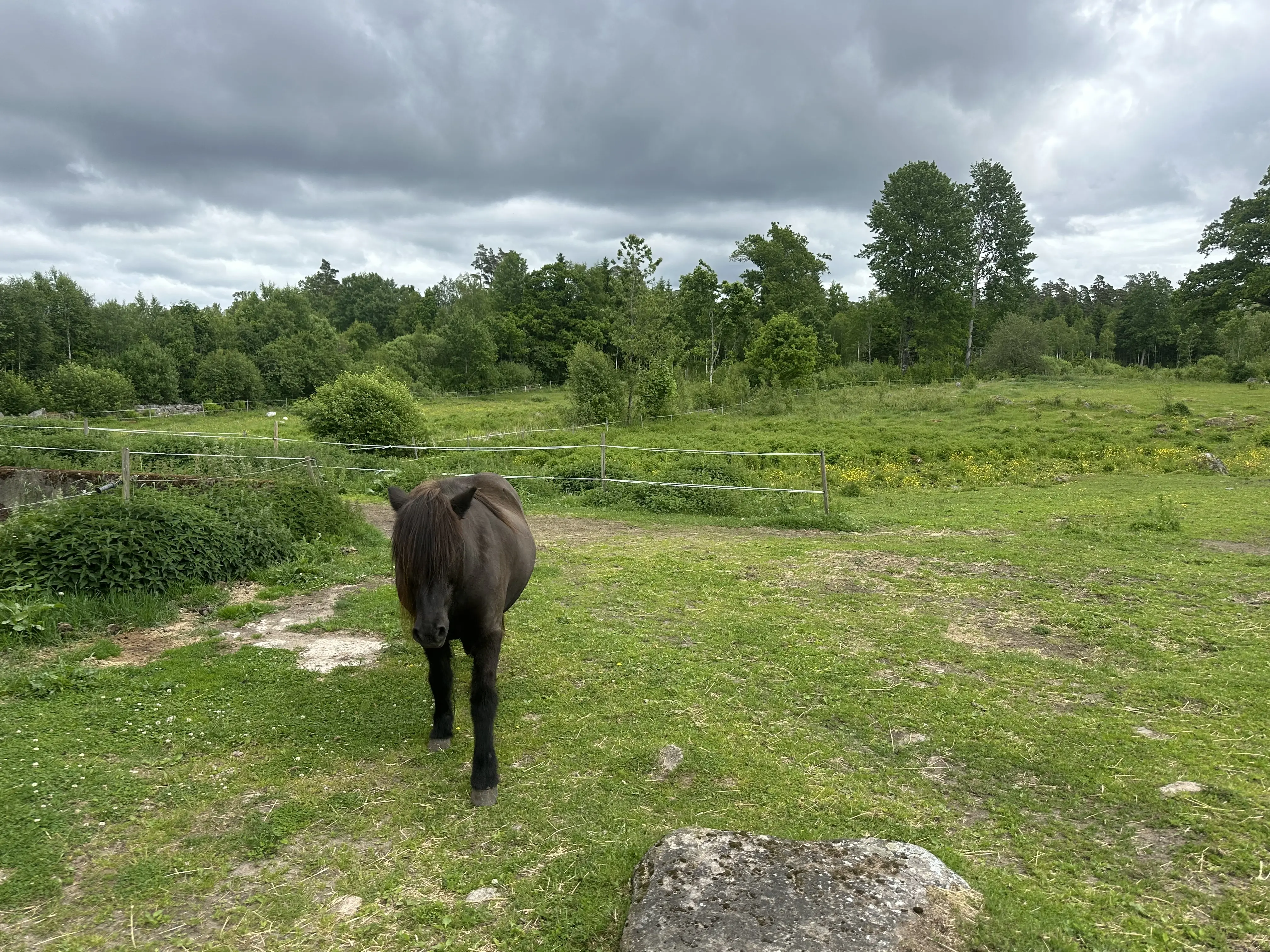 IMG_1311.jpeg 41