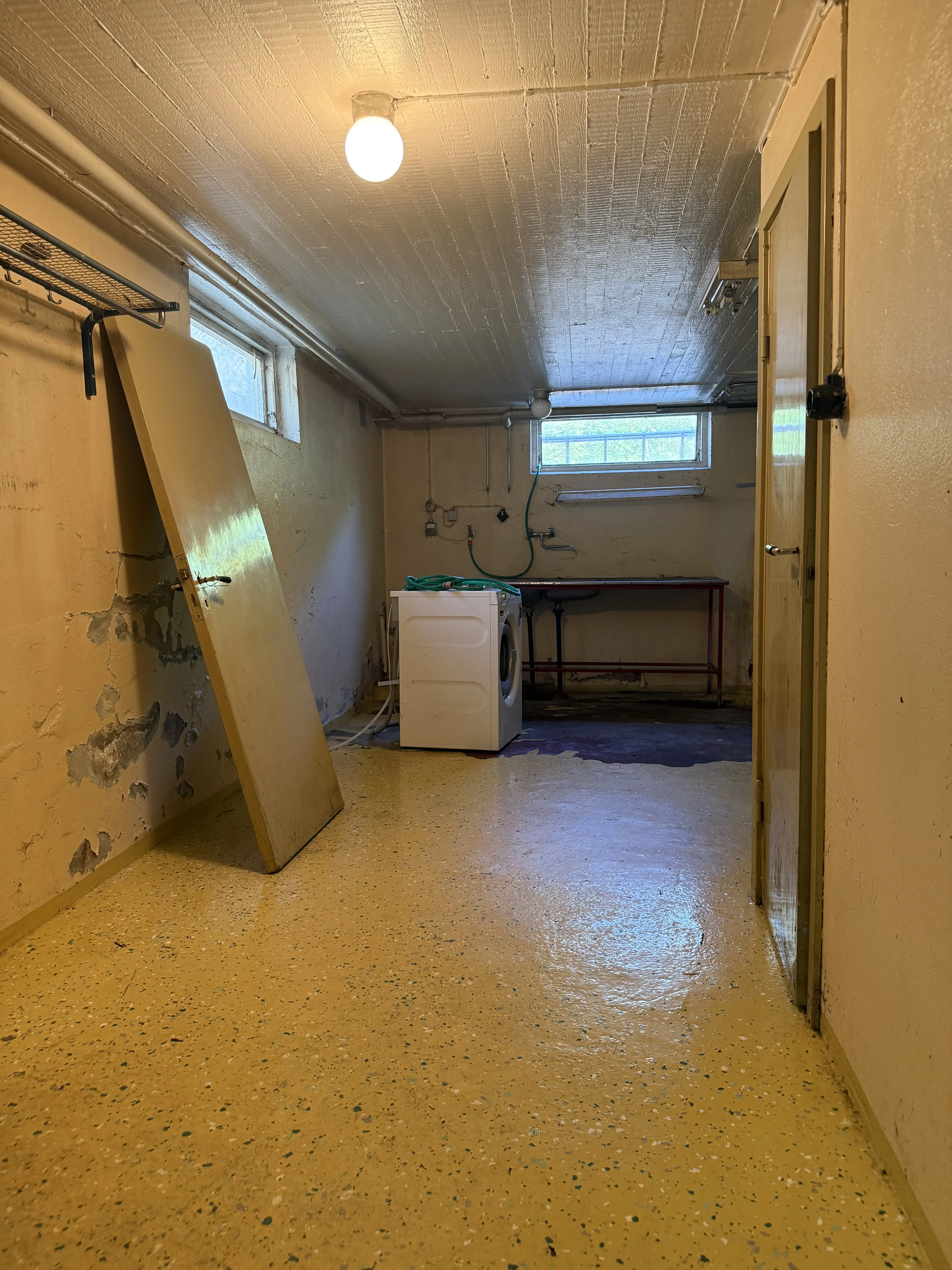 IMG_4364.jpeg 32