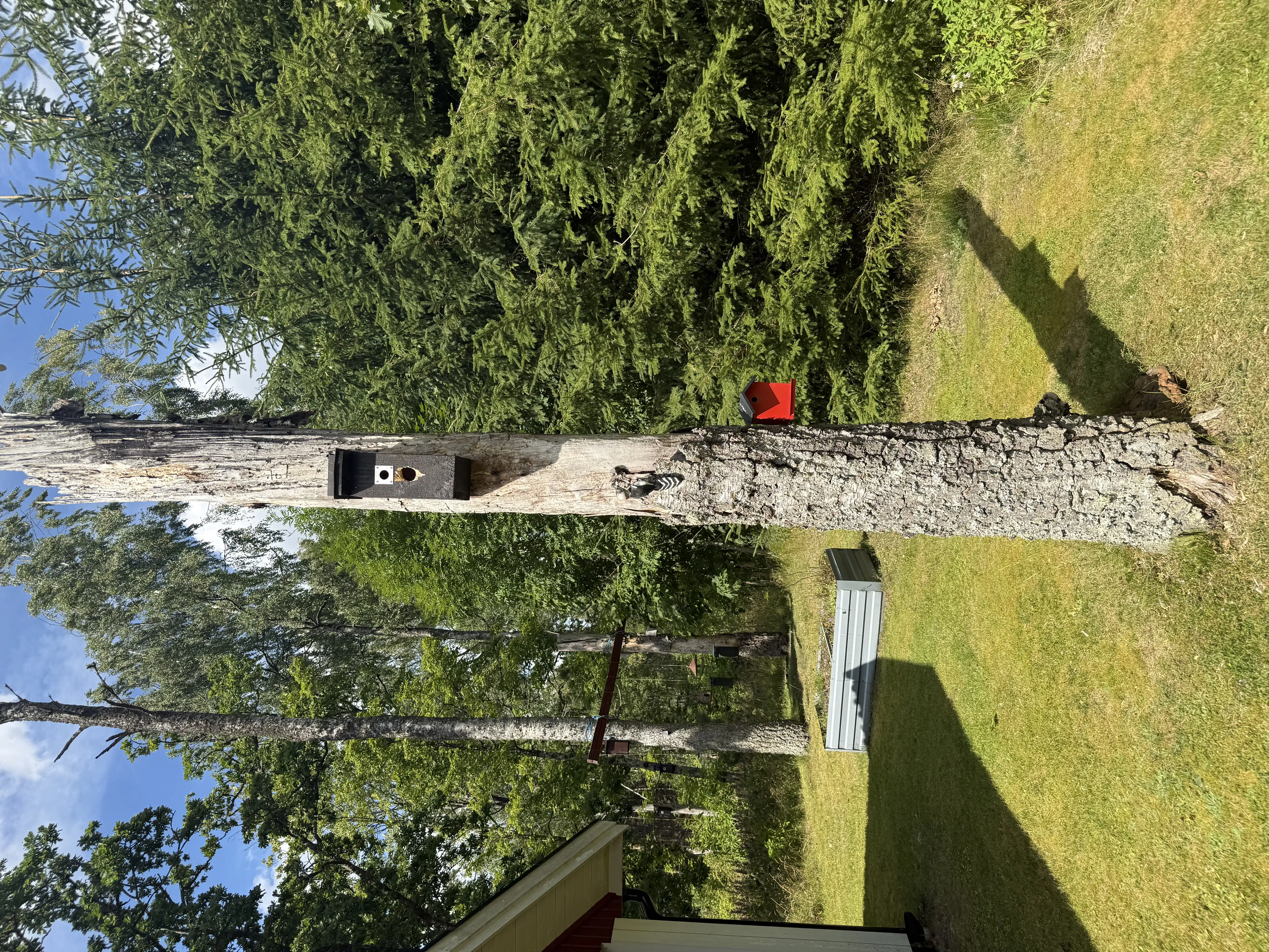 IMG_4703.jpeg 10