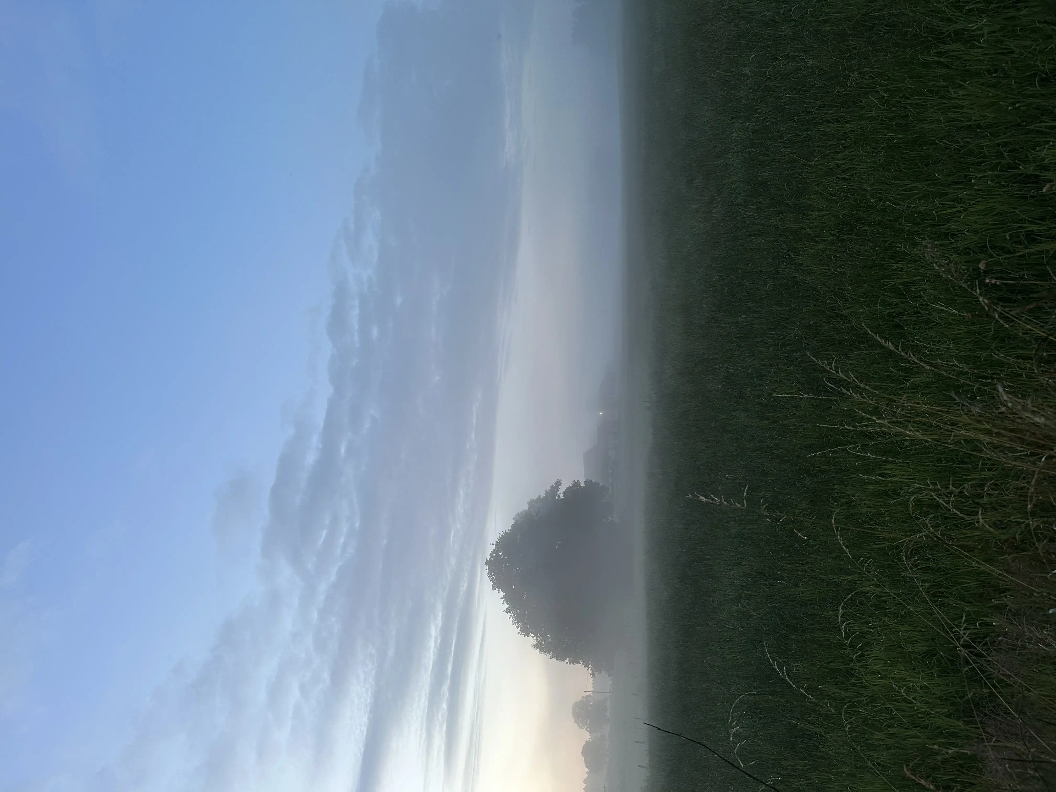 IMG_5419.jpeg 15
