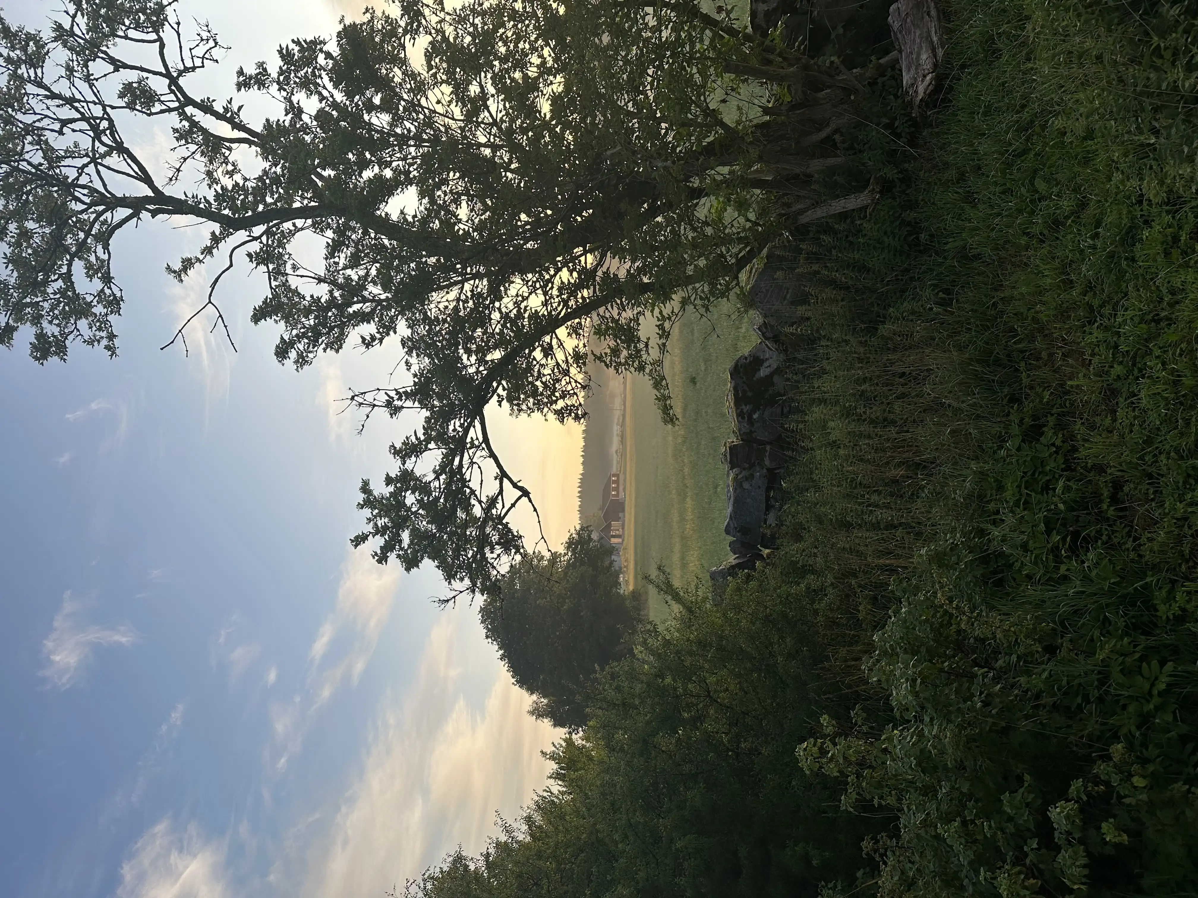 IMG_4728.jpeg 16