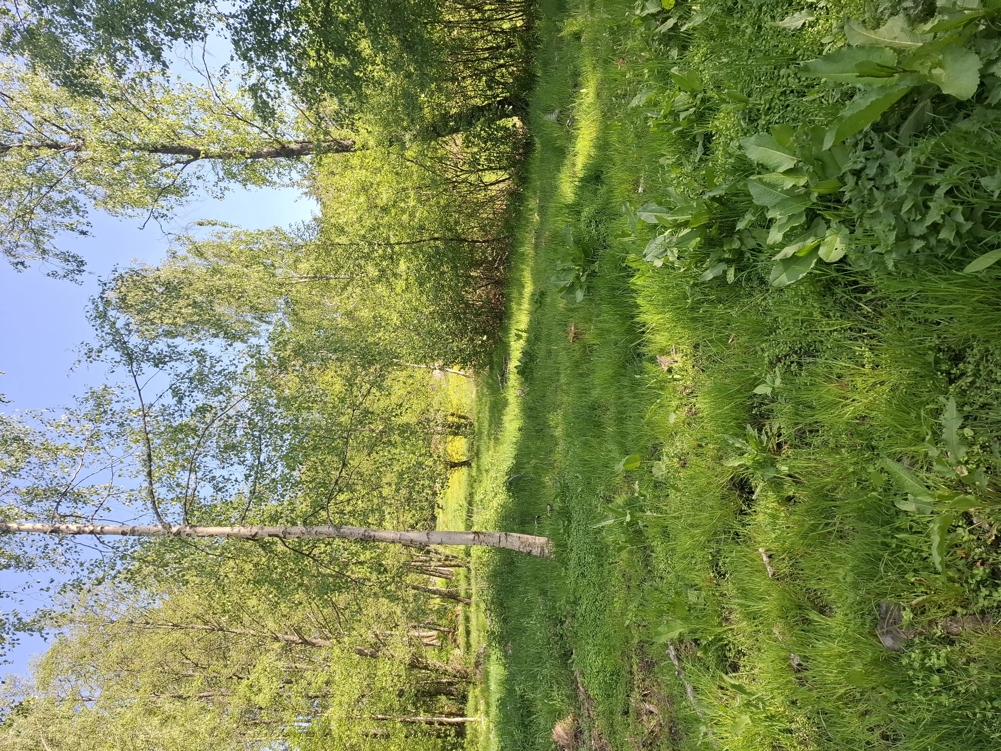 1000028679.jpg 4